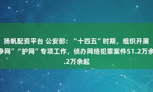 扬帆配资平台 公安部:“十四五”时期,组织开展“净网”“护网”专项工作,侦办网络犯罪案件51.2万余起