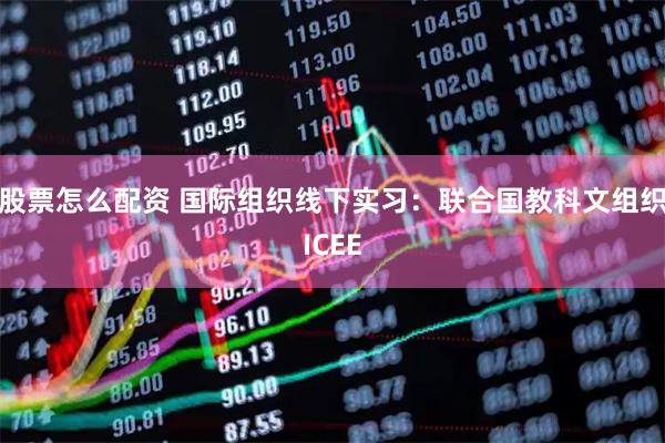 股票怎么配资 国际组织线下实习：联合国教科文组织ICEE