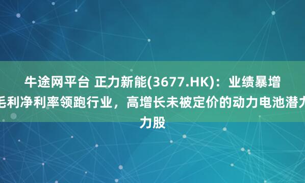 牛途网平台 正力新能(3677.HK)：业绩暴增、毛利净利率领跑行业，高增长未被定价的动力电池潜力股